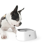 Pet Water Dispenser – Anti-Spill & Slow Drinking Bowl
