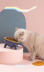 Nordic Pet Feeding Bowl with Stand | Cats, Dogs, Rabbits