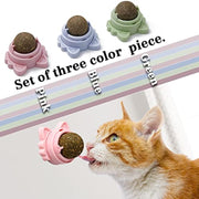 Sticky Catnip Balls Dental Chew Toys for Cats