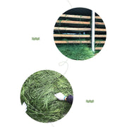 Dried Timothy Hay Snacks for Rabbits and Guinea Pigs