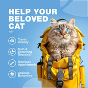 Calming Hemp Treats for Cats – Anxiety & Stress Relief Soft Chews