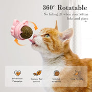 Sticky Catnip Balls Dental Chew Toys for Cats