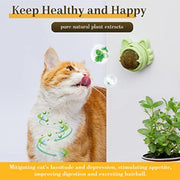 Sticky Catnip Balls Dental Chew Toys for Cats