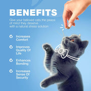 Calming Hemp Treats for Cats – Anxiety & Stress Relief Soft Chews
