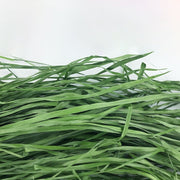 Dried Timothy Hay Snacks for Rabbits and Guinea Pigs
