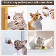 Sticky Catnip Balls Dental Chew Toys for Cats