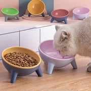 Nordic Pet Feeding Bowl with Stand | Cats, Dogs, Rabbits